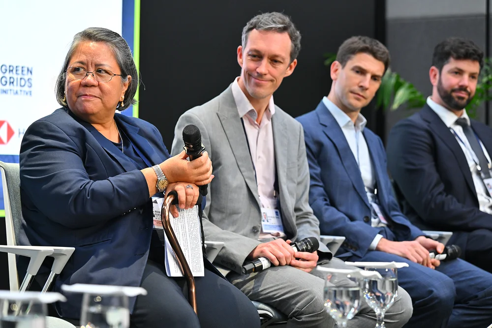 img-gallery-day1-8-june-minding-the-gap-addressing-grid-disruptions-05